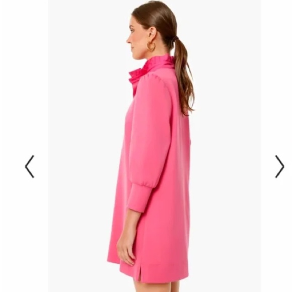 Tuckernuck Pomander Place Hot Pink Charlotte Terry Dress Size Large Ruffle - Picture 3 of 9